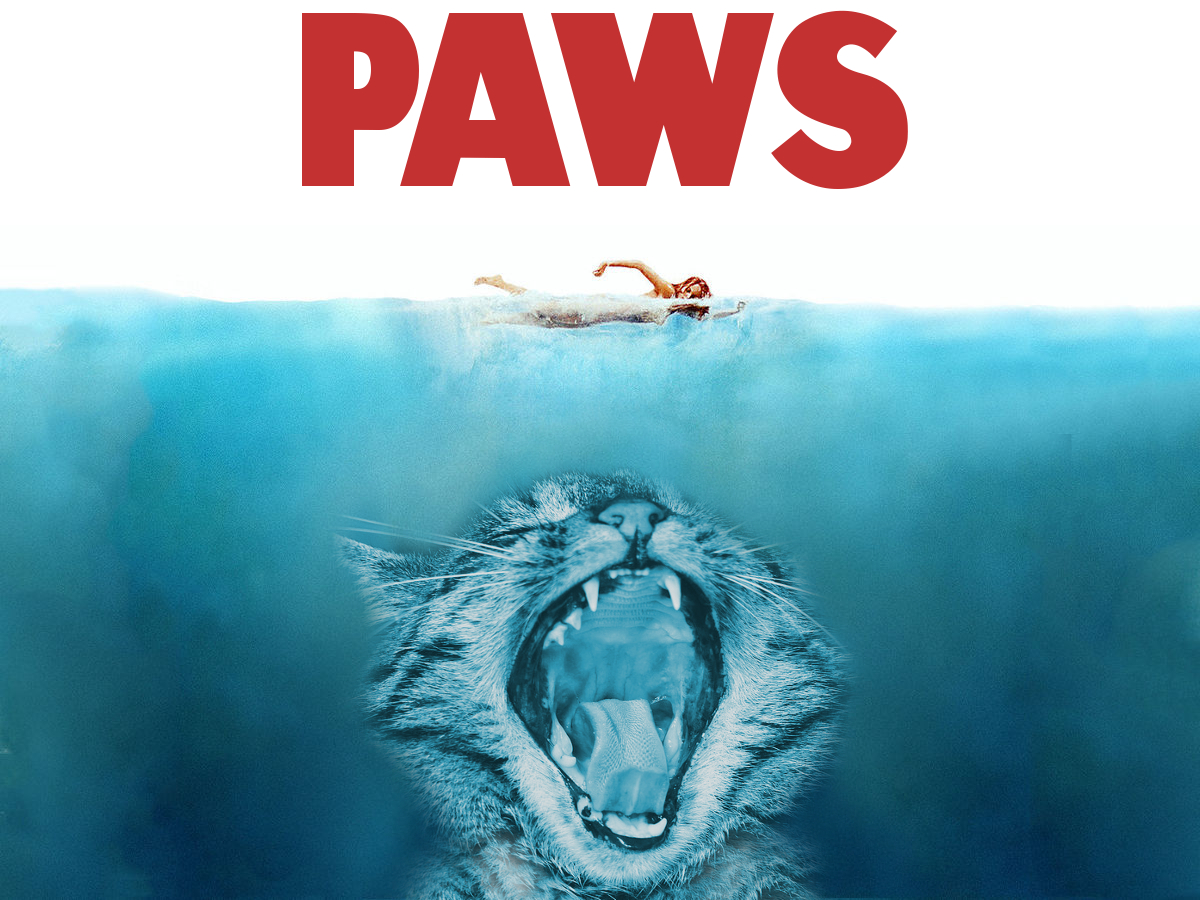 Nicht mehr lang.... An Cat Dubh